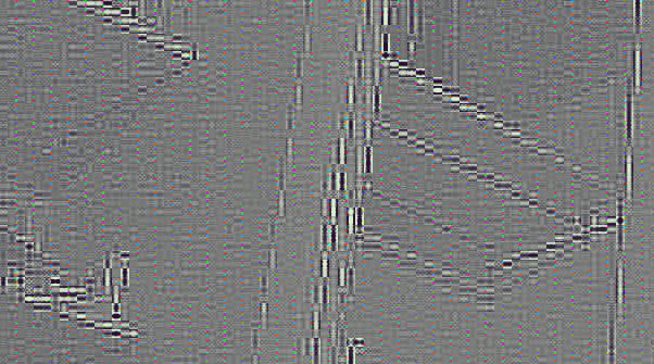 Première image de la webcam